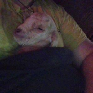 Meet your Posher, Moriah